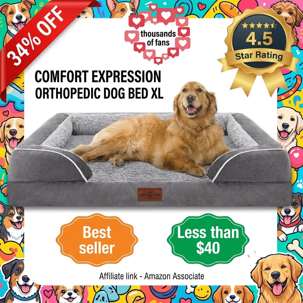 Comfort Expression Orthopedic Dog Bed for Extra Large Dogs 42x30 Inch, Waterproof Egg Crate Foam XL Pet Bed with Removable Bolsters, Dog Couch with Washable Cover & Non-Slip Bottom, Grey