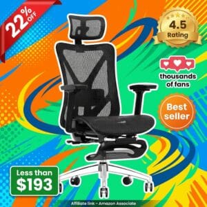 GABRYLLY Ergonomic Chair with Footrest and Lumbar Support