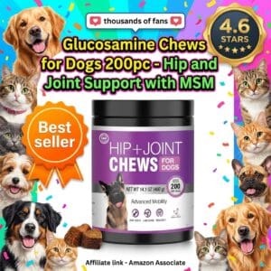 Glucosamine Chews for Dogs 200pc – Hip and Joint Support with MSM