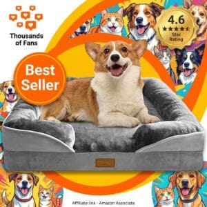 Orthopedic Dog Bed with Sides – Egg-Crate Foam for Medium Dogs