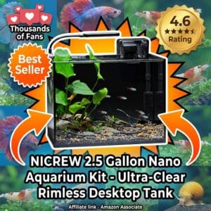 NICREW 2.5 Gallon Nano Aquarium Kit – Rimless Desktop Tank