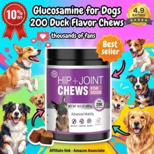 Glucosamine for Dogs 200 Duck Flavor Chews – Hip and Joint