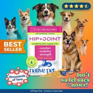 Native Pet Hip and Joint Advanced Supplement Powder for Dogs