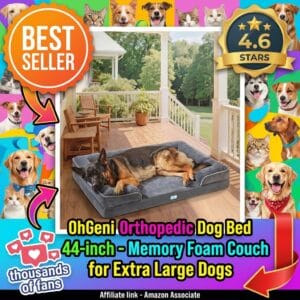 OhGeni Orthopedic Dog Bed 44-inch – Memory Foam Couch