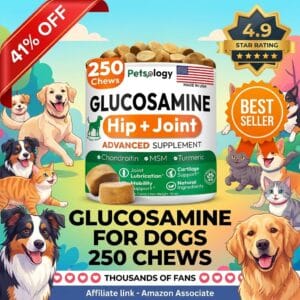 Glucosamine for Dogs – 250 Chews Hip and Joint Supplement
