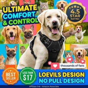 rabbitgoo No Pull Dog Harness with 2 Leash Clips, Large Dogs