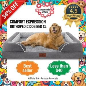 Comfort Expression Orthopedic XL Dog Bed – Foam Bolster Sofa