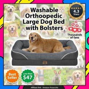 Chez Paw Orthopedic Large Dog Bed with Full Bolster Support