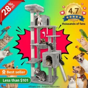 Globlazer 70 Inch Heavy Duty Cat Tree for Large Cats