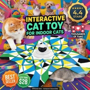3-in-1 Rechargeable Interactive Cat Toy for Indoor Cats